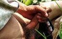 The thunder po: मकई के खेत में भारतीय समलैंगिक बड़ा लंड हाथों से चुदाई