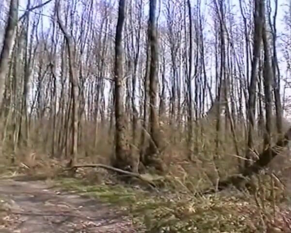 GERMAN PORN CLASSICS: Fucking di luar rumah