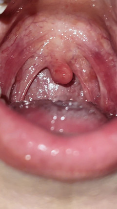 Sultry Silvea: Smyslná Silvea prohlídka úst