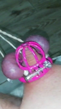 Sissy in Chastity CBT Balls Tied and Stretched Until They Turned Purple