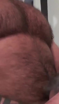 BEARFILMS - Hairy Marc Angelo bottoms for big bear Cooper Hill