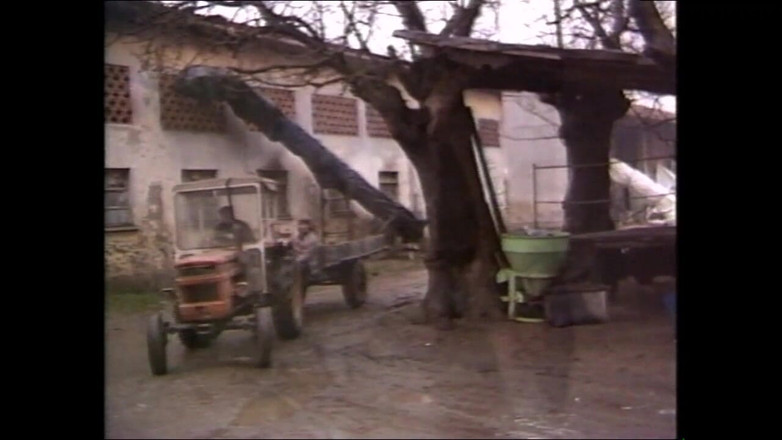 Full Movie XXX: Țăranii păroși