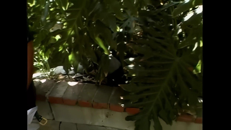 2 much love: Moje těhotná manželka plná mléka chce ptáka mého přítele - Epizoda # 01