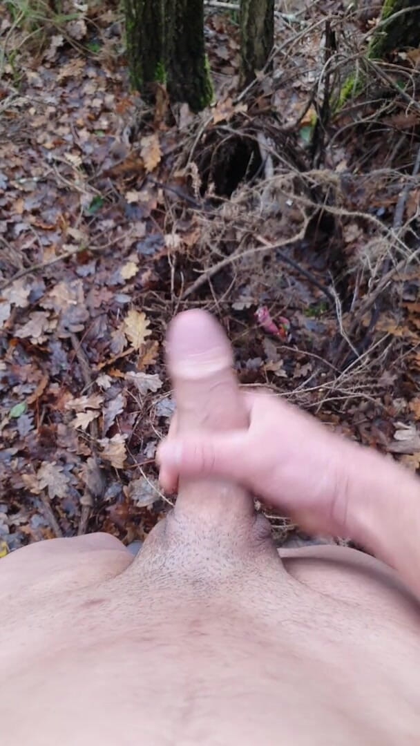 Timmyboy: Timmyboy I Went for a Run in the Woods and...