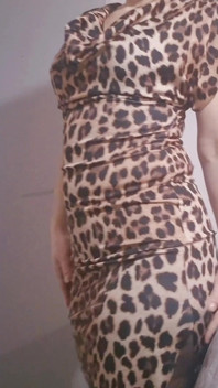 Cuckoo From Your Favorite Tigress