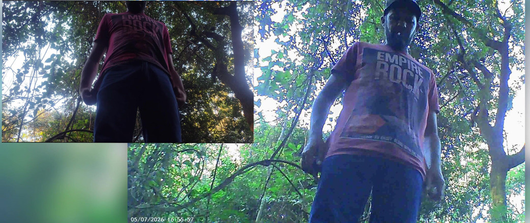 Stink HairyMale: Buscando un lugar en el bosque para correrme