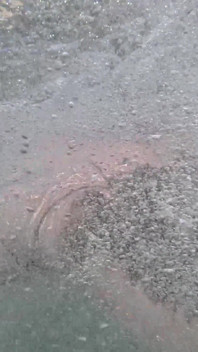 Baise golden sous la douche, pisse et anulingus, facial dans l’eau trouble