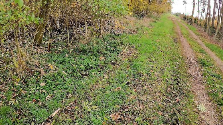 Bouncy Tits Action: Possiamo il tuo seno lassù alla barriera