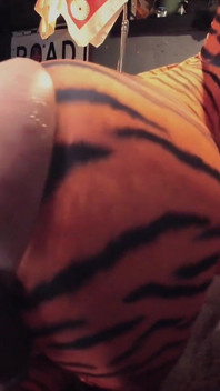 Awek punggung Tiffany Ciskiss Cosplay Tigra Pt 2 Lelaki Pondan Mengongkek Mainan Besar