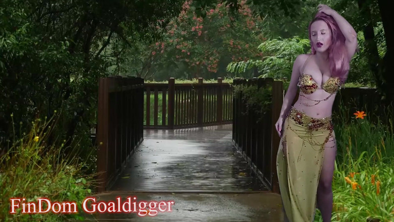 FinDom Goaldigger: Transformación en árbol