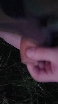 Nice Wank in the Park