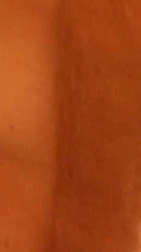 Blonde MILF Sucks Cock Before Deep Penetration