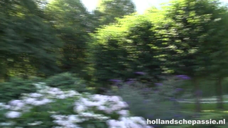 Hollandsche Passie: Esmee viene scopata in pubblico
