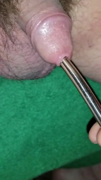 Urethral Sounding with Cumshot