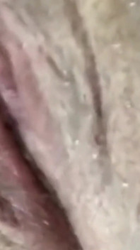 Reiben, fick meine fette muschi mit 12 zoll didlo