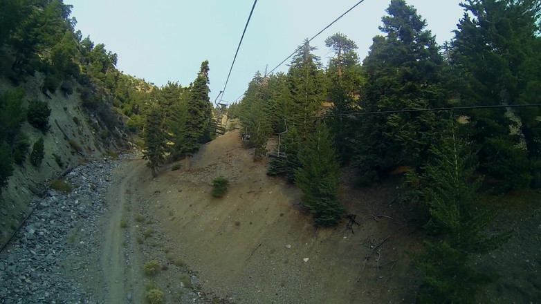 Les Lesbians: Lesbian Utopia: Lesbians 6