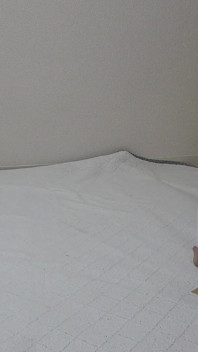 Gadis Jepang dengan celana dalam thong wedgie membersihkan apartemennya sambil berkali-kali memperbaiki toket besarnya yang mencuat dari kaosnya