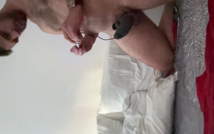 PureBredBreeder: Hotel Breed