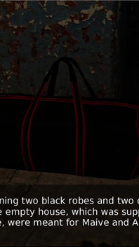 Fate and Life the Mystery of Vaulinhorn 9 the Investigation Is Getting Out of Hand