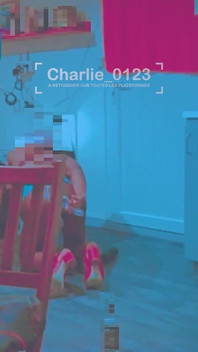 정원 가꾸기 녹지 및 모험