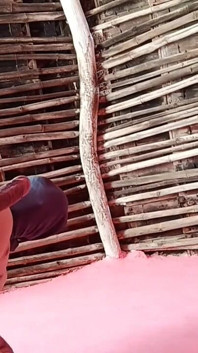 Desi sex video vesnického páru, který romanticky šuká