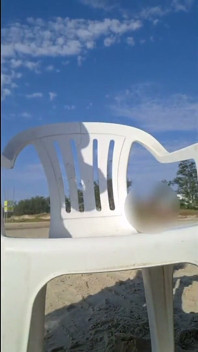 Heiße Krone Sonnenbad Am Strand in Transparentem Mikro-bikini
