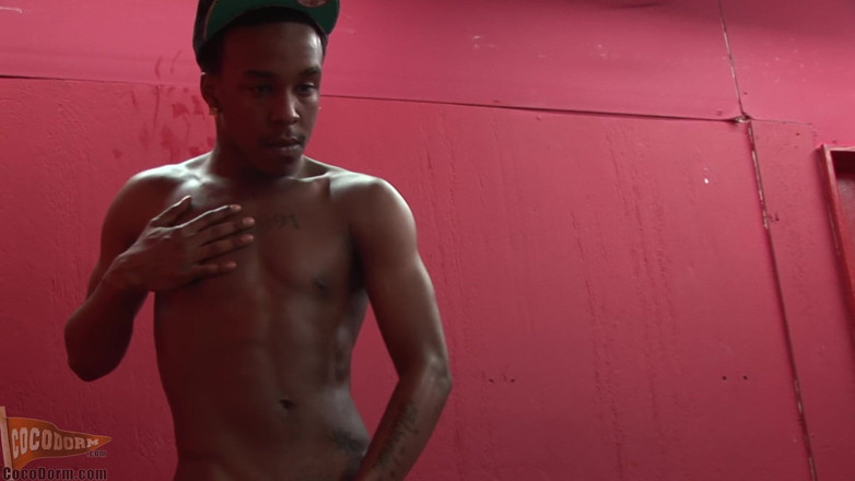 CocoDorm: Dzyer Whyte