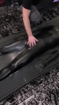 Cute twink tormented in latex vacbed