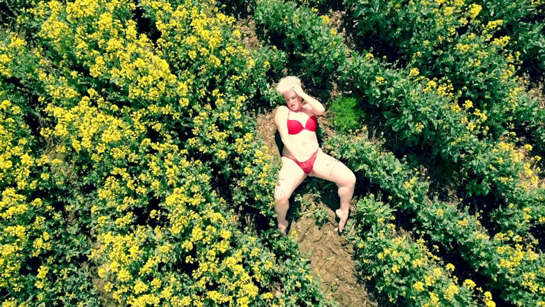 Kylie Britain Adventures: Vogels oogweergave