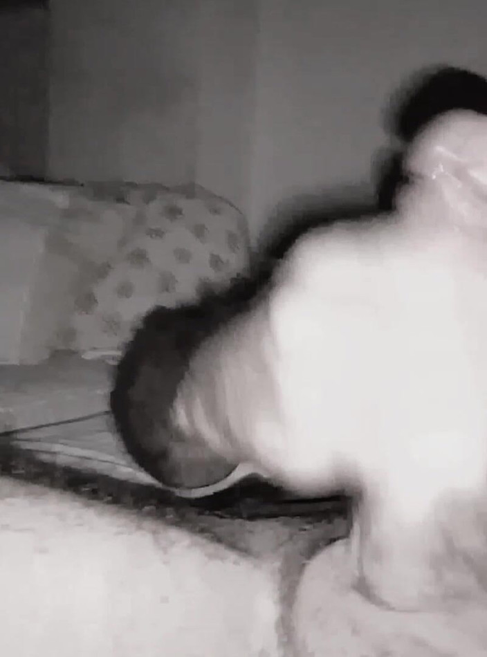 Alicante Wild: Bermain dengan batang saya. Menikmati