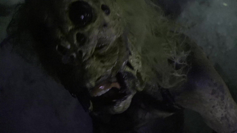 Horror porn: Horror Porn 17: Female Spider