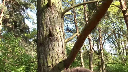 German amateur - 100% German hardcore videos: Wonderful milf enjoys getting screwed outdoors