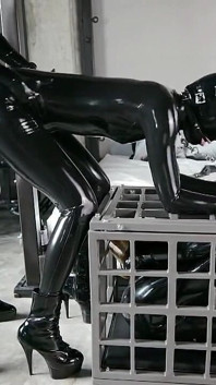 Latex Times