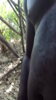 Wir gingen, sex im wald zu haben es war schwer, einen schönen ort zu finden (teil 1)