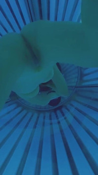 Hiding Dances in the Solarium
