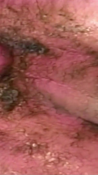 Well Trained Latino Fucked in the Ass by a Skinny Shemale Outdoors