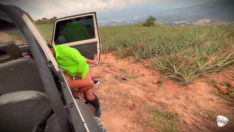 Pelaje mix: Vesnická žena chtěla sklidit ananas a místo toho vysadil Cassavu do...