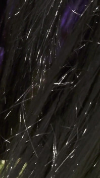 Mesmeriza_26_01_mov_cinema_clip_359_356_20240815134026049