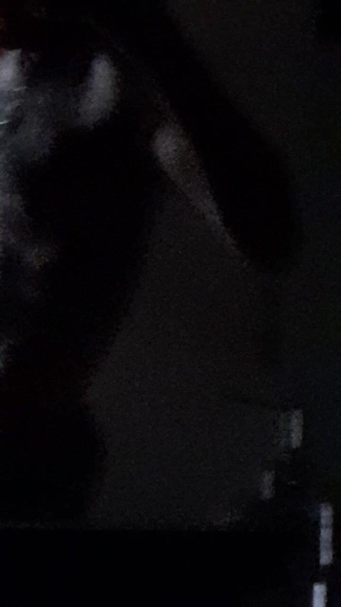 Dorian DomTop: 자위를 시작하는 발정난 Xmas Deer