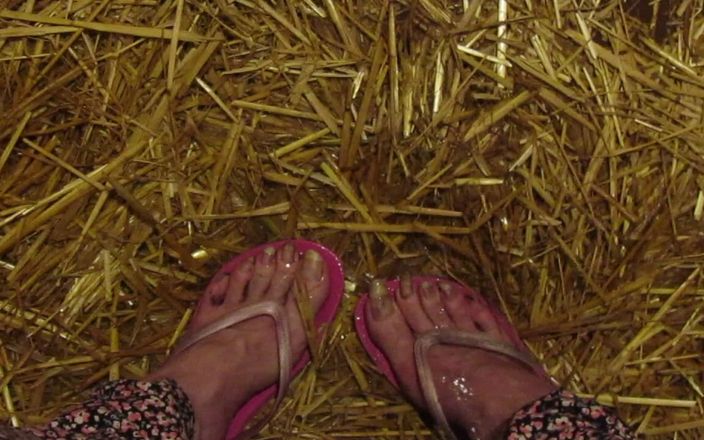 Barefoot Stables: Pissy Stable Feet