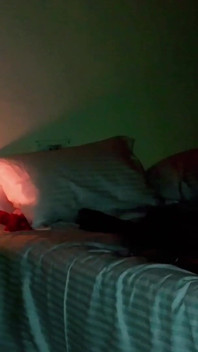 Having Sex with His Wife