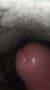 My Hairy Cock