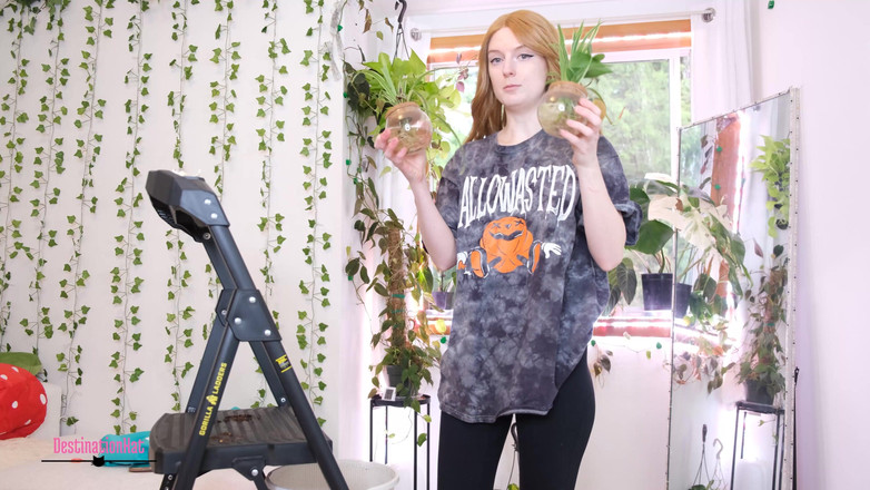 Destination Kat: The Manipulative Intern
