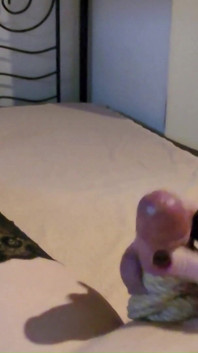 Hard Tied Cock and Balls