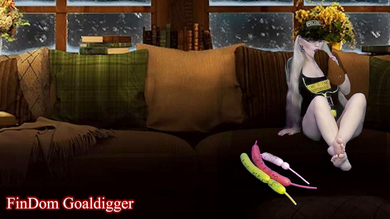 FinDom Goaldigger: Cyber CEI