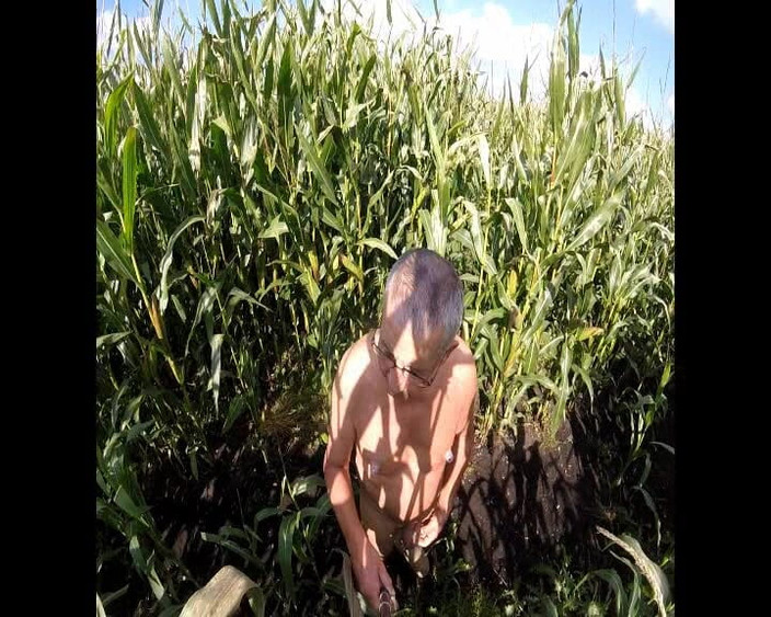 Andy: Caminata del maíz