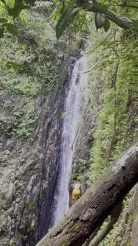 Monika Fox in Pink Top and Yellow Shorts Walks Through Jungle and Waterfalls!