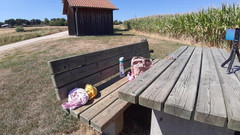 sweetfeet29: Soligt och sexigt