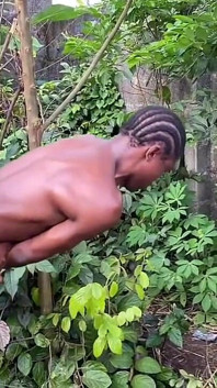 Jungle Heat