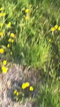 那一天是最好的日子，当你可以走freeeee的时候